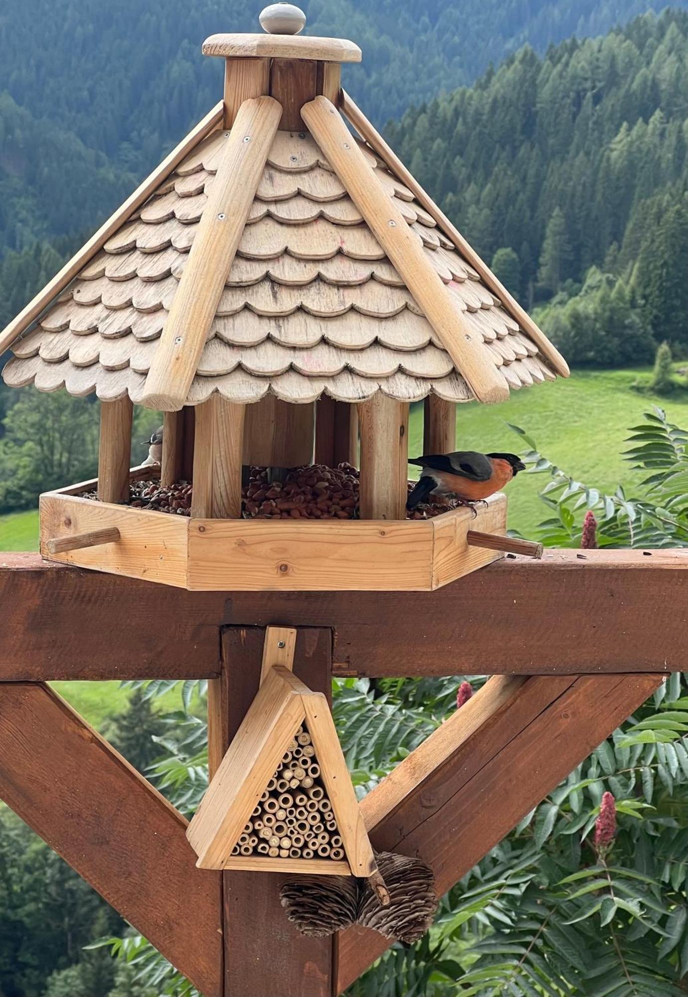 Poelstaler Berghuette Apartment Oberzeiring ภายนอก รูปภาพ